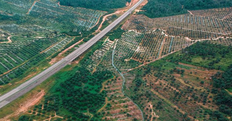 découvrez les impacts prévus de la dpa en 2026 et préparez-vous aux changements à venir.
