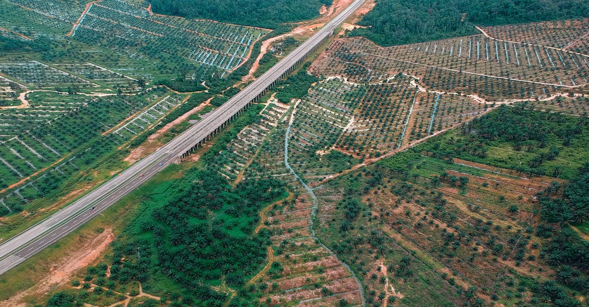 découvrez les impacts prévus de la dpa en 2026 et préparez-vous aux changements à venir.